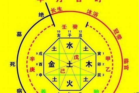 福德 八字|八字四柱神煞福德解析